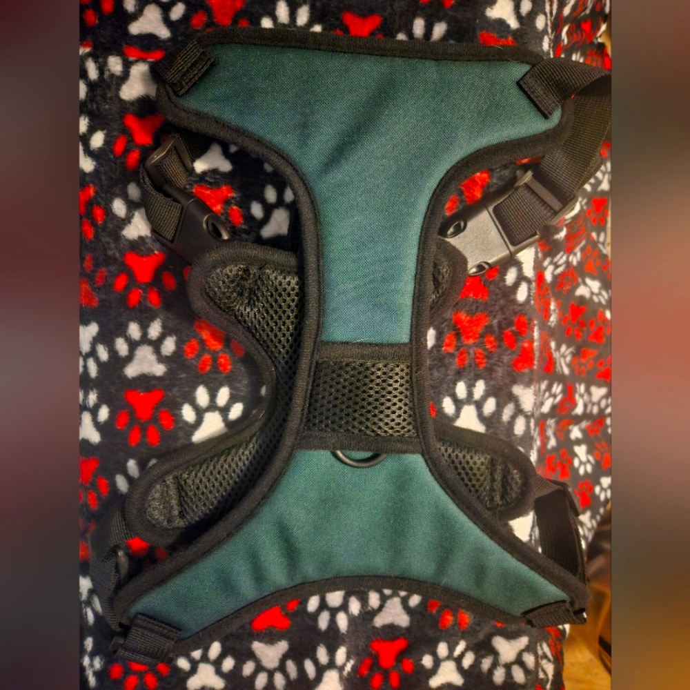 Dog Harness